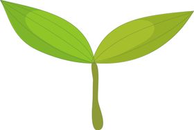 植物