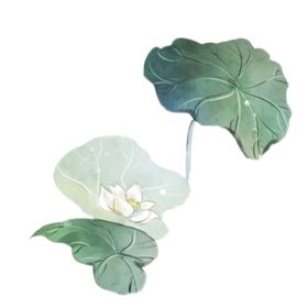 荷花素材手绘夏天背景夏天海报立夏