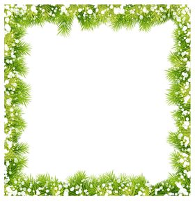 绿色边框