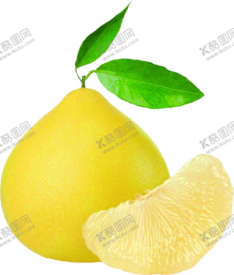 编号：98113302092005099908【酷图网】源文件下载-柚子