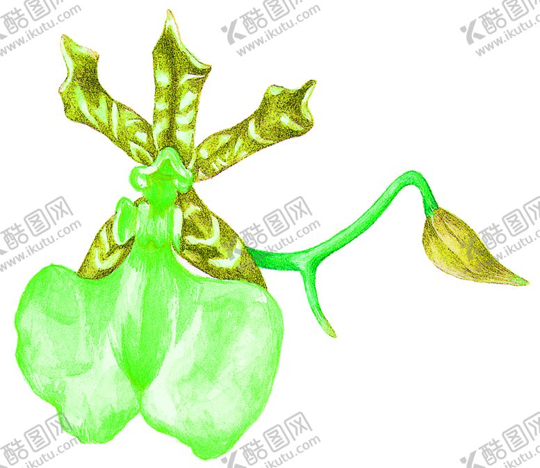 编号：64613509250126479264【酷图网】源文件下载-花素材