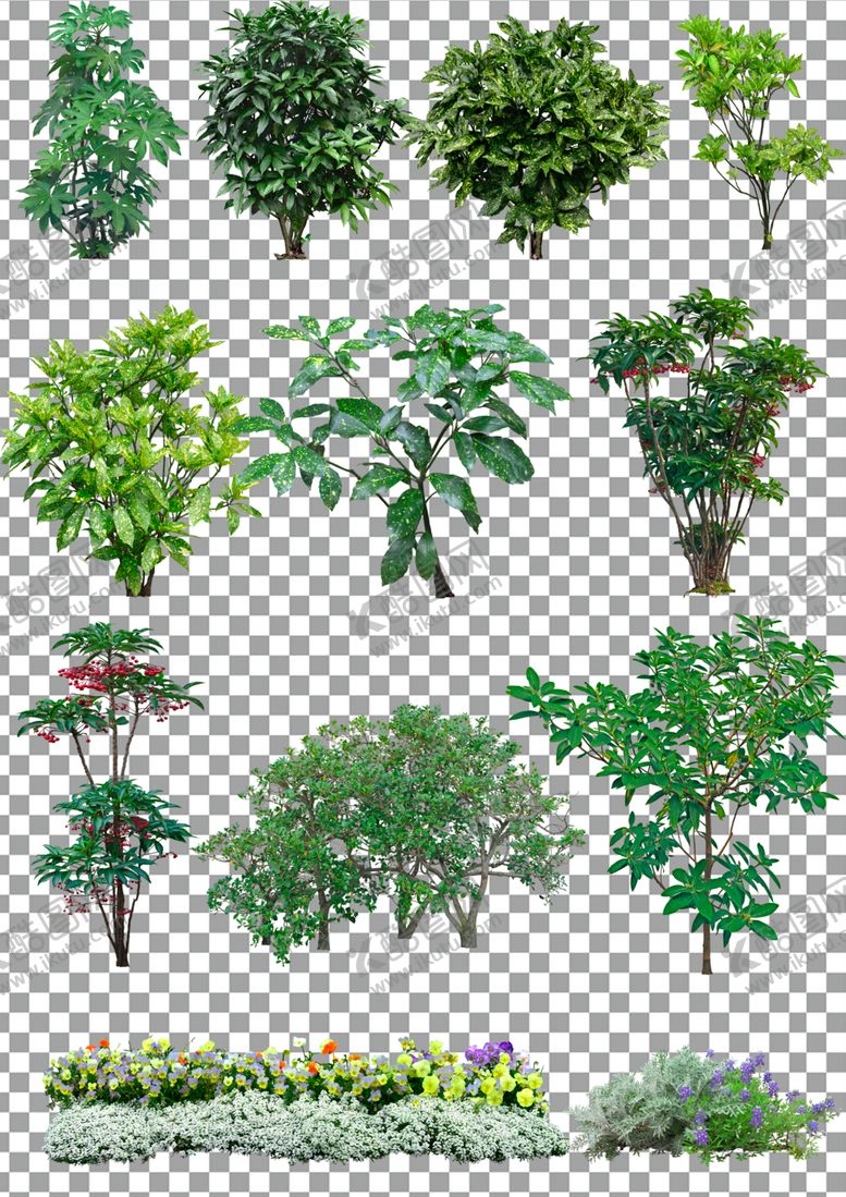 编号：81456407040636297334【酷图网】源文件下载-绿色植物