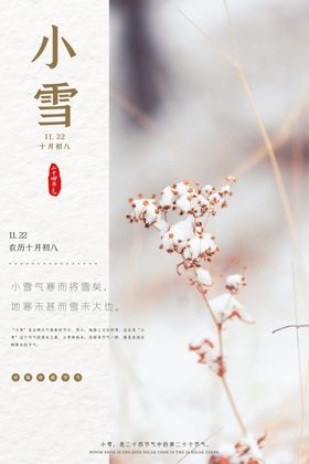 小雪节气