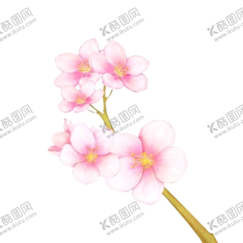 编号：20793504161733217239【酷图网】源文件下载-桃花