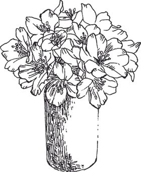 素描鲜花