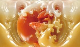 玉雕九鱼背景墙