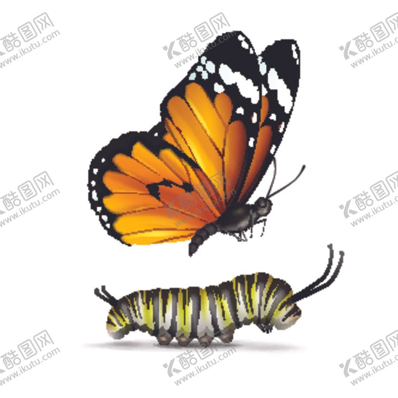 编号：59229205172151208191【酷图网】源文件下载-蝴蝶昆虫动物