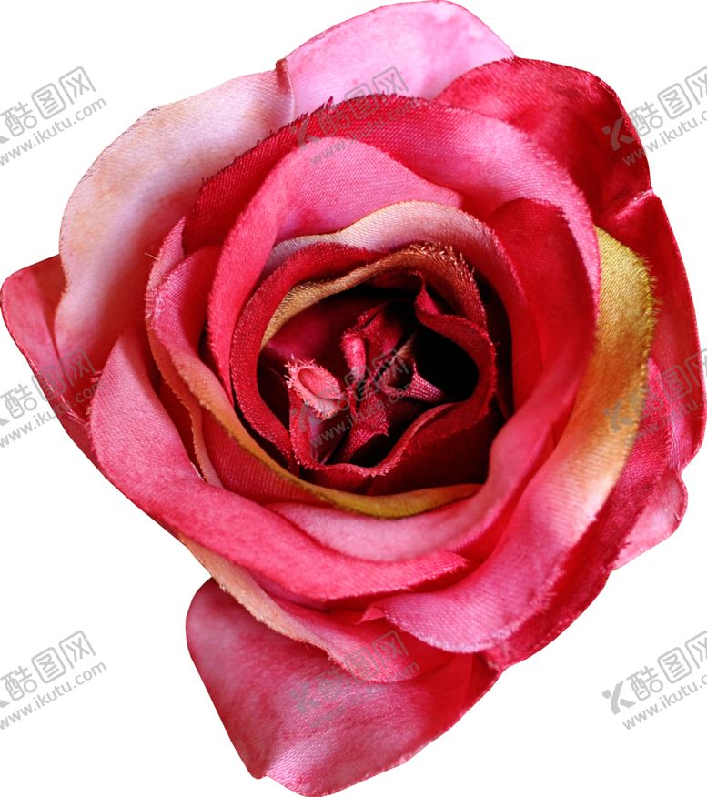 编号：40908510220212247247【酷图网】源文件下载-暗色玫瑰花花朵
