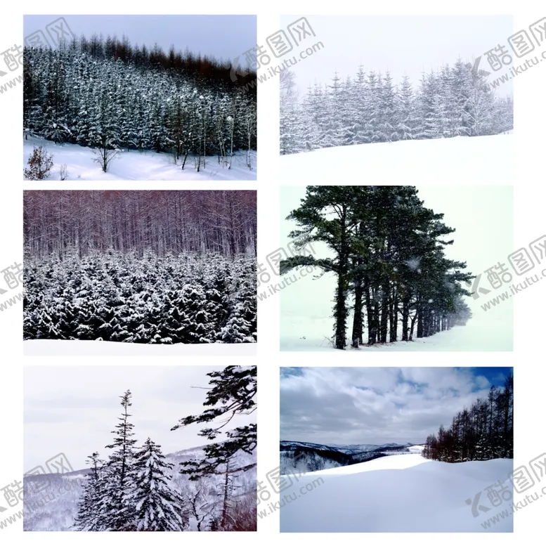 编号：17436512110012108893【酷图网】源文件下载-雪景
