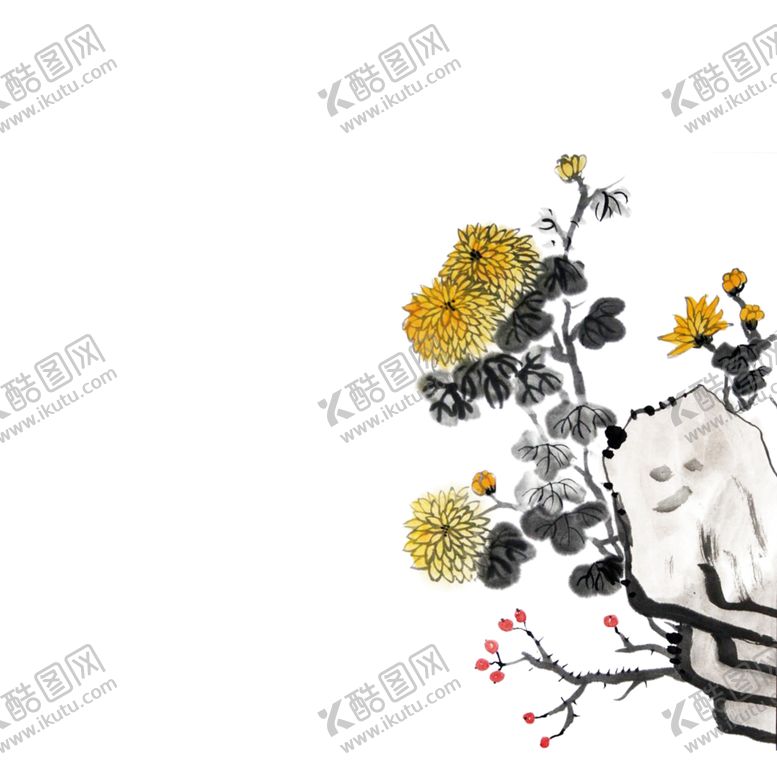 编号：62129706300746485918【酷图网】源文件下载-菊花素材