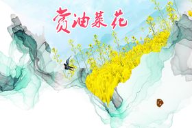 共赏油菜花