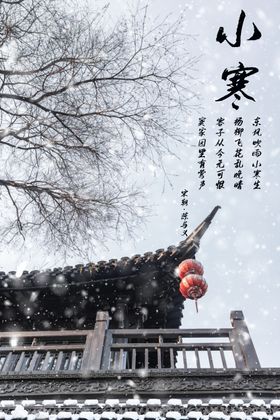 简约优美古风二十四节气小寒海报