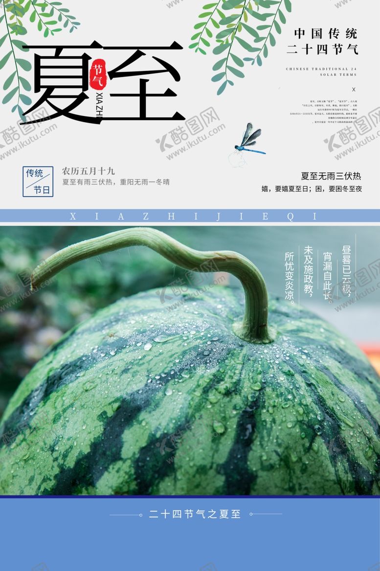 编号：35993106290214305692【酷图网】源文件下载-夏至海报
