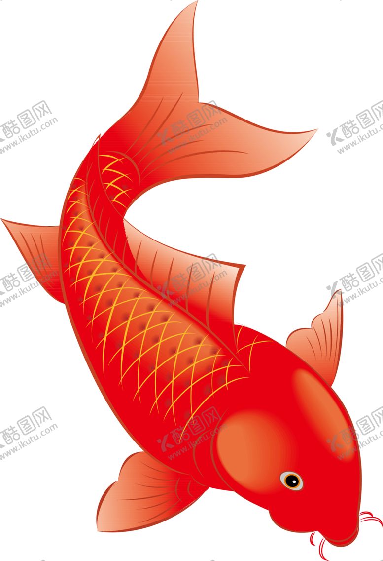 编号：27653110012155338862【酷图网】源文件下载-锦鲤