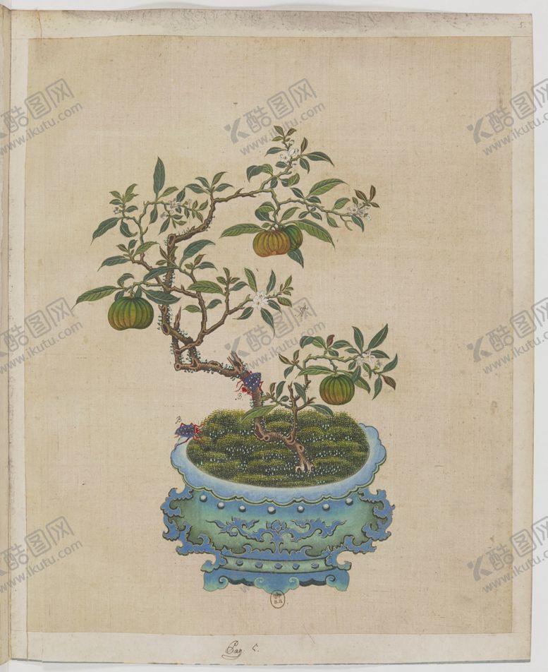 编号：27426304091616433611【酷图网】源文件下载-盆景花鸟