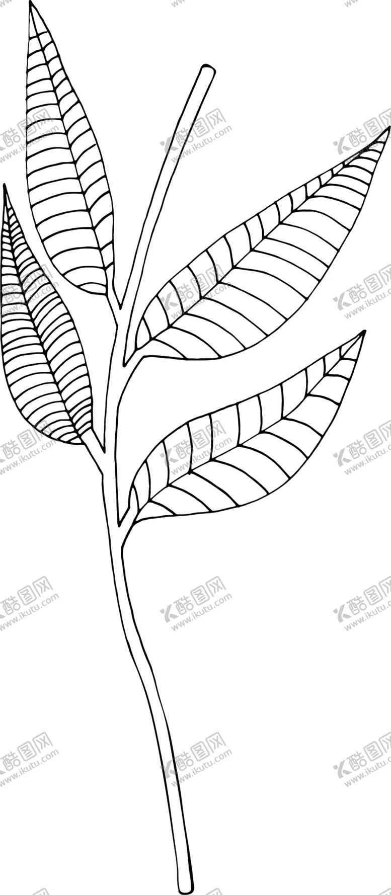编号：33371201291100366388【酷图网】源文件下载-秘密花园