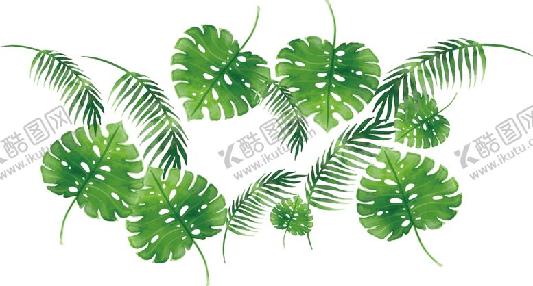 编号：30378309251330393192【酷图网】源文件下载-芭蕉叶热带