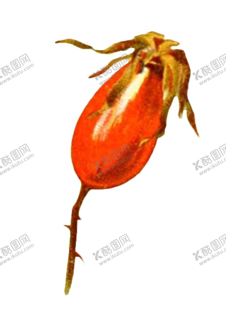 编号：33187902030445284544【酷图网】源文件下载-复古插画