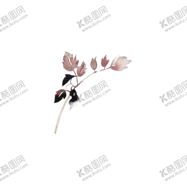 编号：69574302061248204941【酷图网】源文件下载-花叶子
