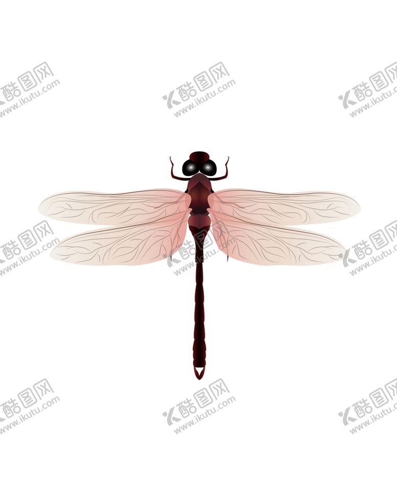 编号：41600409210819433312【酷图网】源文件下载-蜻蜓