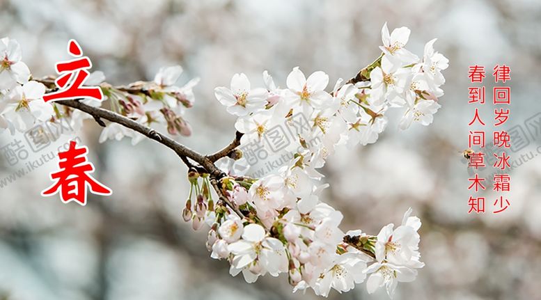 编号：85324310240409381493【酷图网】源文件下载-白色飞舞的蜜蜂和绽放的樱花手机
