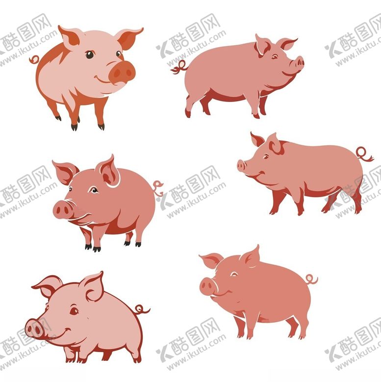 编号：12064102130850488956【酷图网】源文件下载-卡通小猪