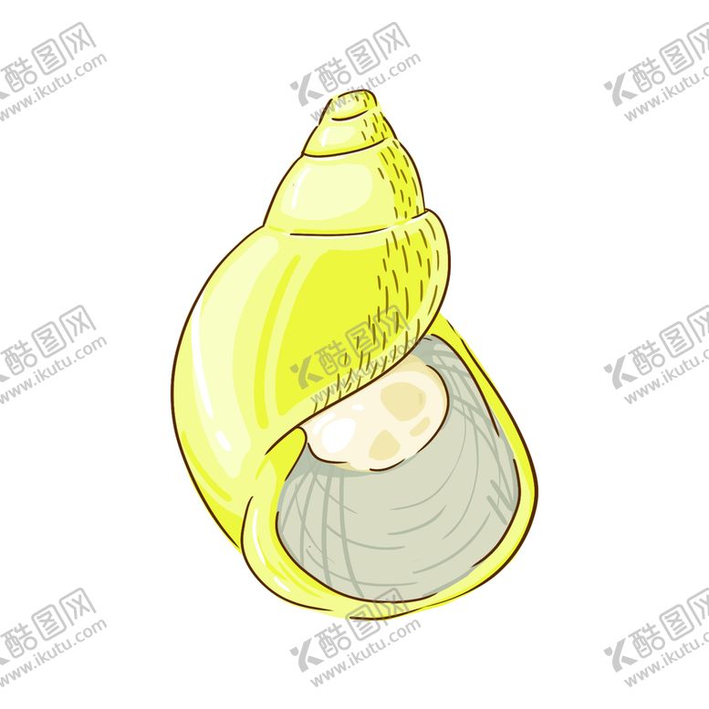 编号：14968209140758217295【酷图网】源文件下载-海螺海洋元素免扣贝壳