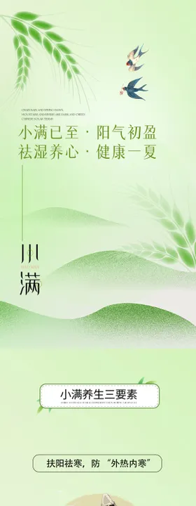 小满养生公众号长图
