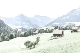 照片传雪景