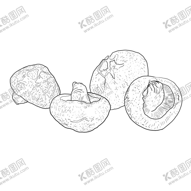 编号：66951007050728549313【酷图网】源文件下载-香菇