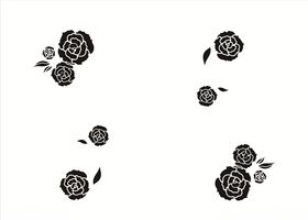 牡丹花