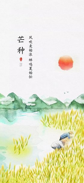 中国传统24节气芒种海报