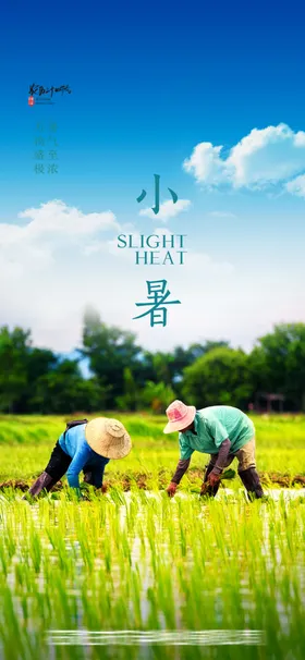 小暑微信大地产海报海报