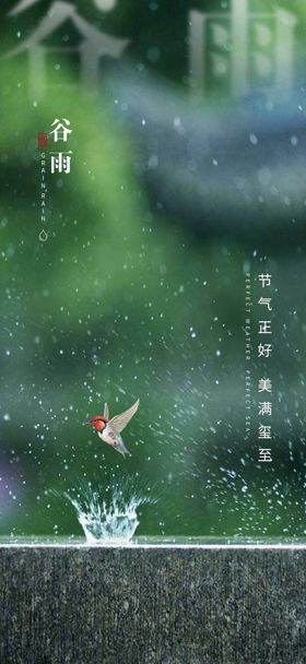 谷雨