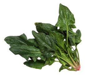 菠菜