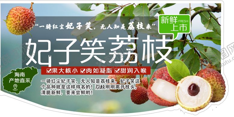 编号：95473810151249443105【酷图网】源文件下载-妃子笑荔枝