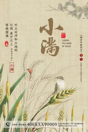 小满中国24节气中国节日中国节气中国风俗