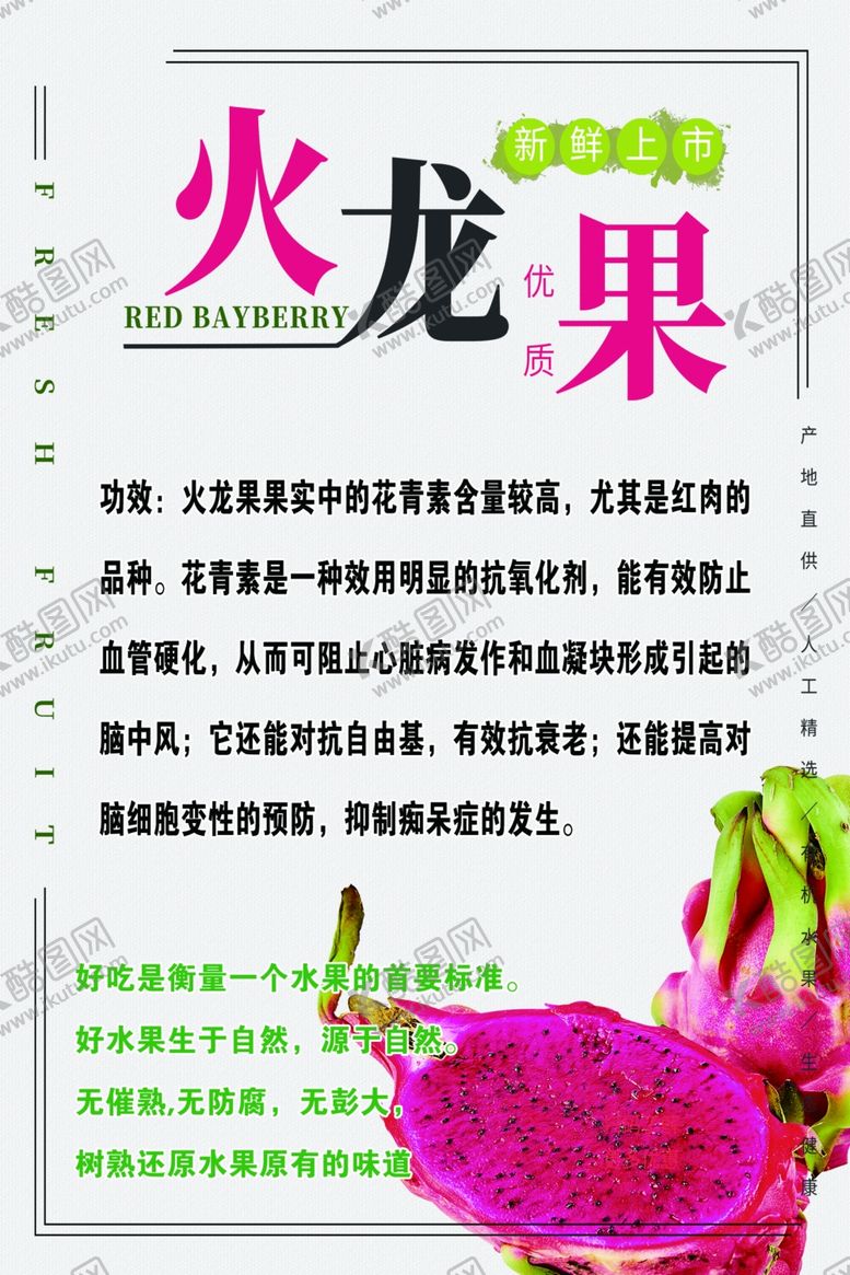 编号：40339106291058449442【酷图网】源文件下载-火龙果海报