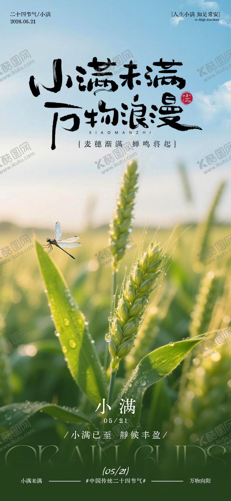 编号：98926005222325138739【酷图网】源文件下载-小满时节麦田风光摄影海报