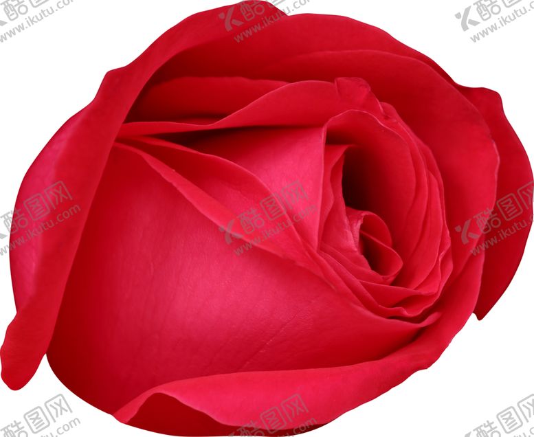 编号：66971710290309217199【酷图网】源文件下载-鲜花素材