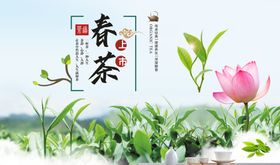 春茶