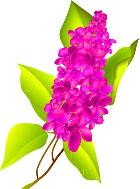 鲜花装饰