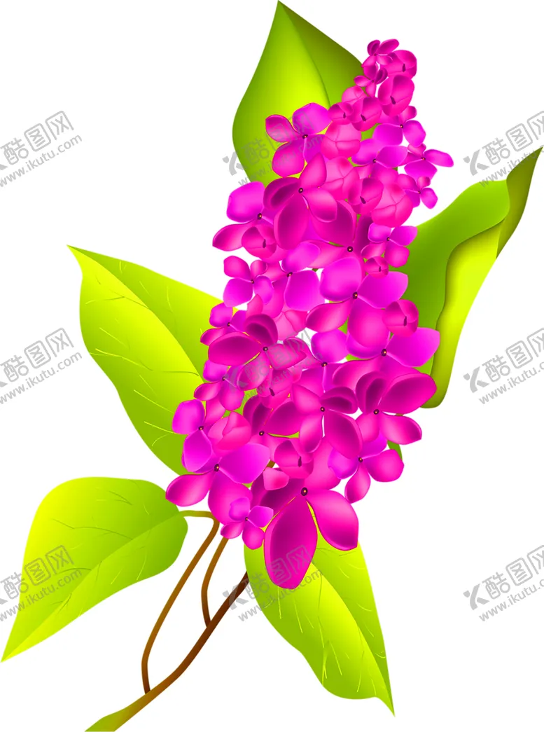编号：62984607010023444673【酷图网】源文件下载-鲜花装饰