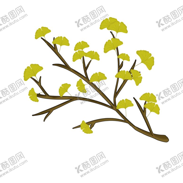 编号：40953205021937294873【酷图网】源文件下载-秋天银杏叶