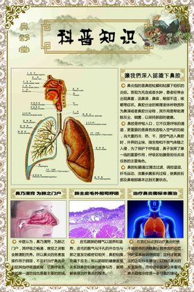 鼻炎科普知识