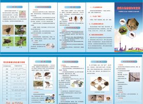 病媒生物折页