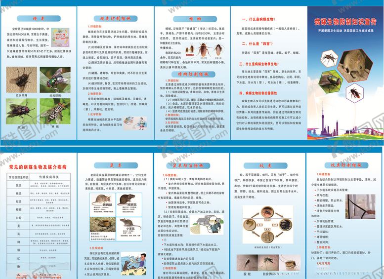 编号：54465209270721239464【酷图网】源文件下载-病媒生物折页