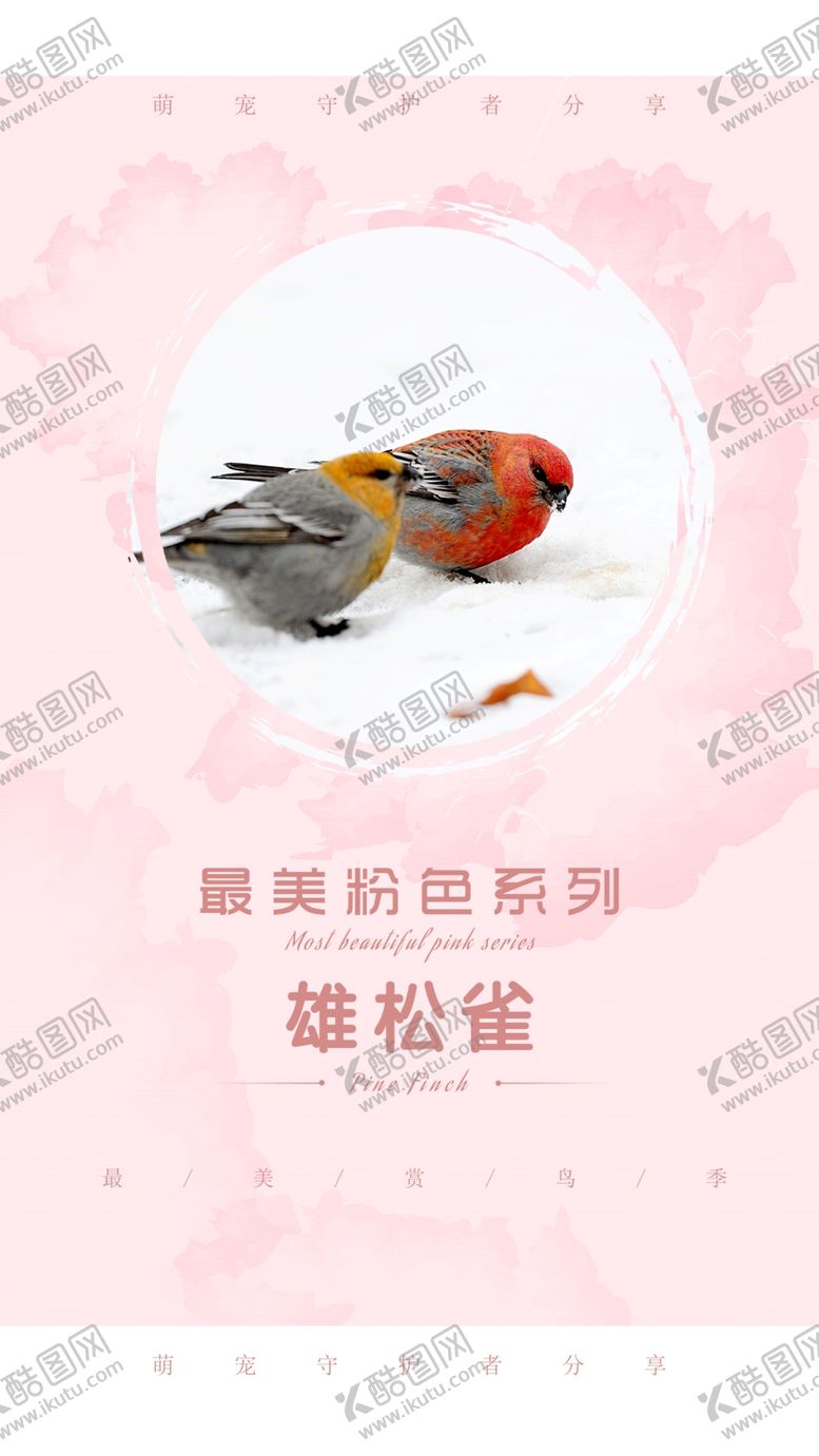 编号：46482810170112321545【酷图网】源文件下载-可爱鸟儿