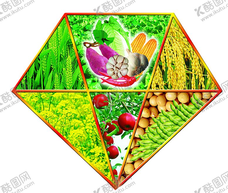 编号：76954407060549548151【酷图网】源文件下载-绿色植物