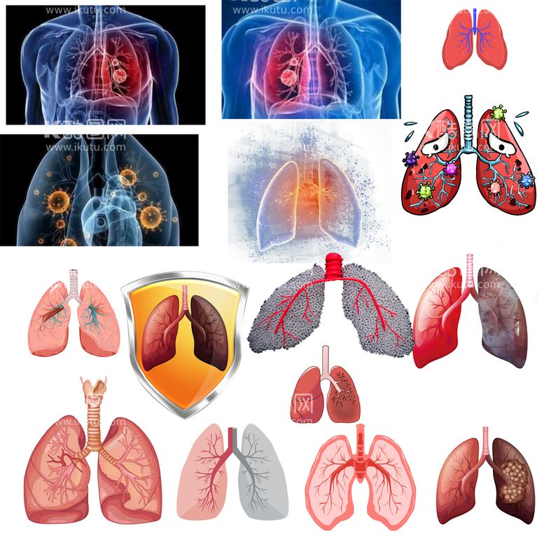 编号：37189609261034557835【酷图网】源文件下载-肺部